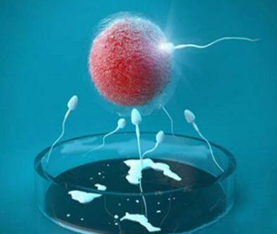 中心环境